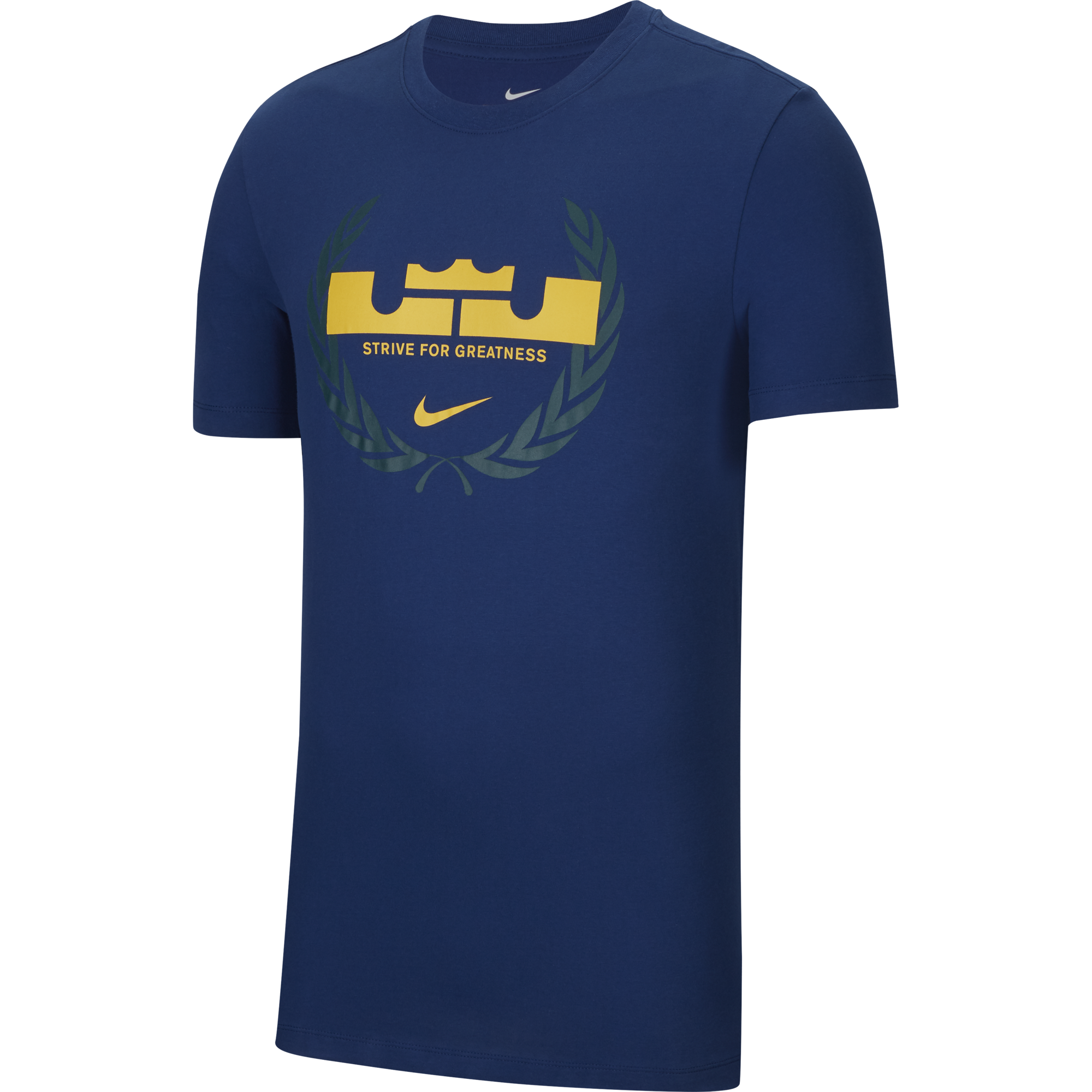 NIKE LEBRON JAMES LOGO DRI-FIT TEE COASTAL BLUE